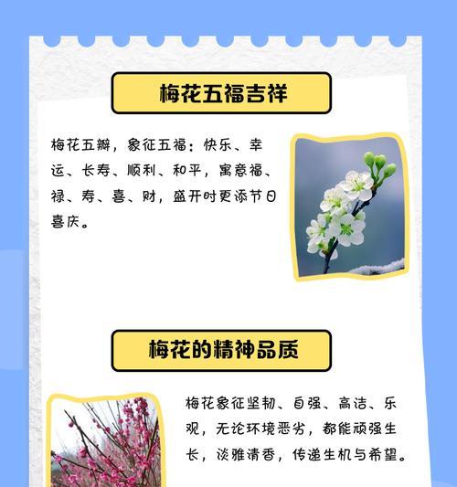 盆栽腊梅花语是什么？如何用腊梅表达情感？