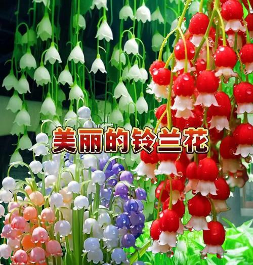 遇见花语的花有哪些？它们各自代表什么意义？