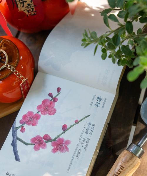 梅花在古代的花语是什么？梅花象征着什么？
