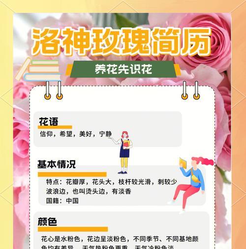 夏季玫瑰的养护要点是什么？