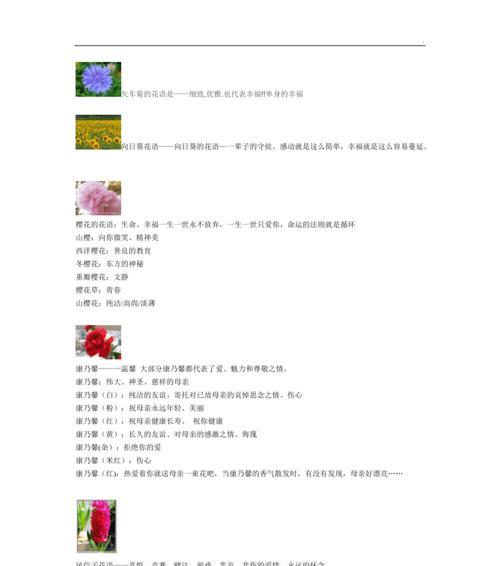 朝之霜的养殖方法是什么？如何保持其健康生长？