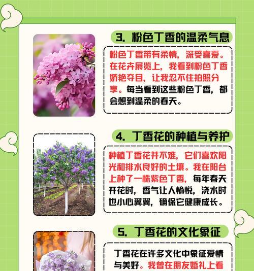 丁香种植的步骤和技巧是什么？