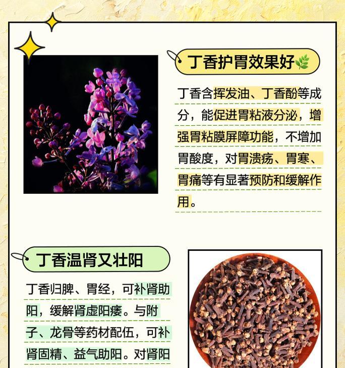 丁香种植的步骤和技巧是什么？