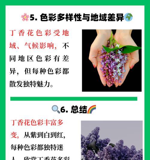 丁香种植的步骤和技巧是什么？