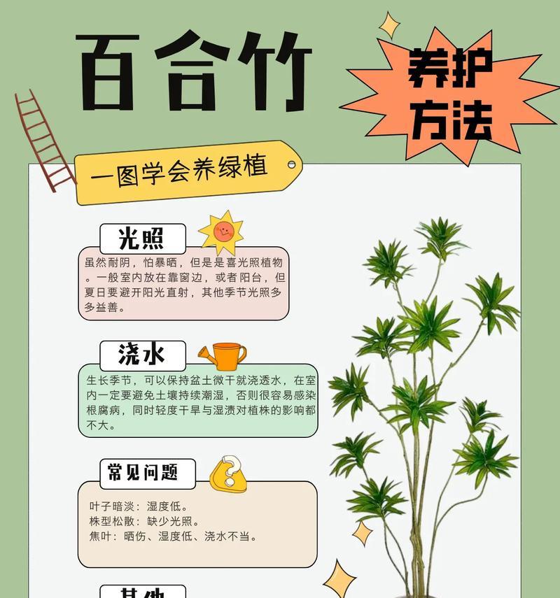 竹子修剪的最佳时机和方法是什么？
