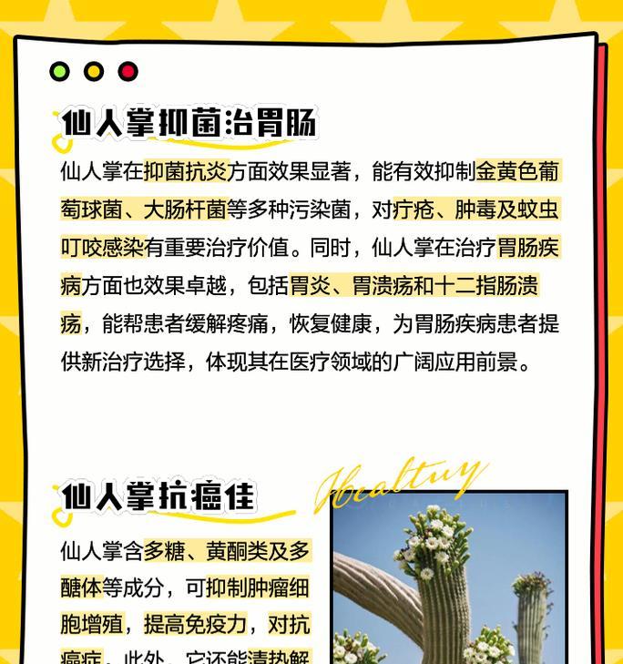 仙人指养殖的要点是什么？如何防止仙人指徒长？
