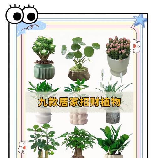 室内水养的植物有哪些？水养植物的好处有哪些？