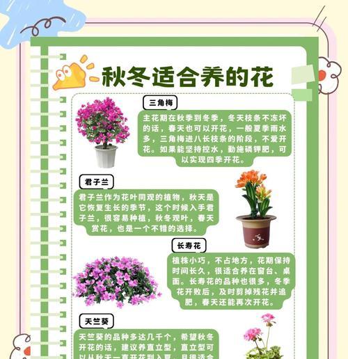 阳光不足的室内如何正确养花？