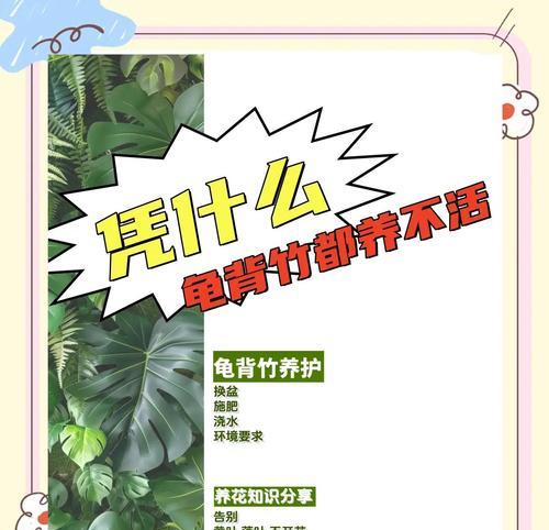 龟背竹的养护方法是什么？如何让龟背竹长得更茂盛？