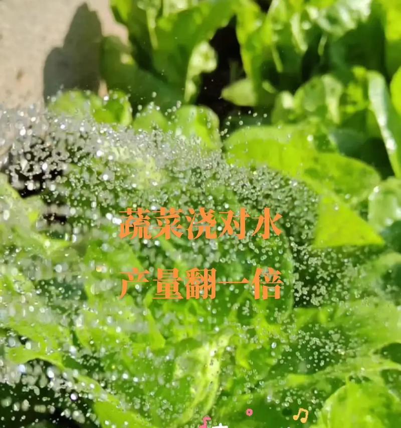 中午浇水有哪些危害？