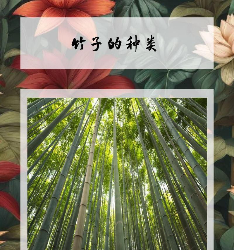 竹子有多少品种？各种竹子的用途是什么？