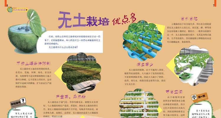 无土栽培中常见的植物有哪些？无土栽培的优势和操作方法？