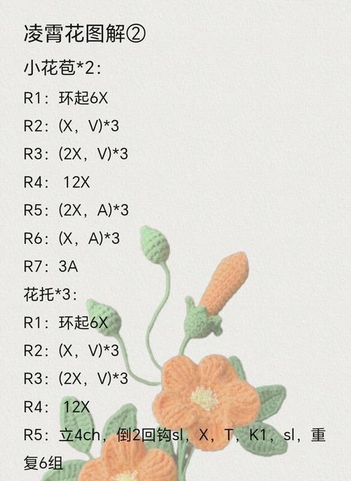 凌宵花种植步骤和注意事项？