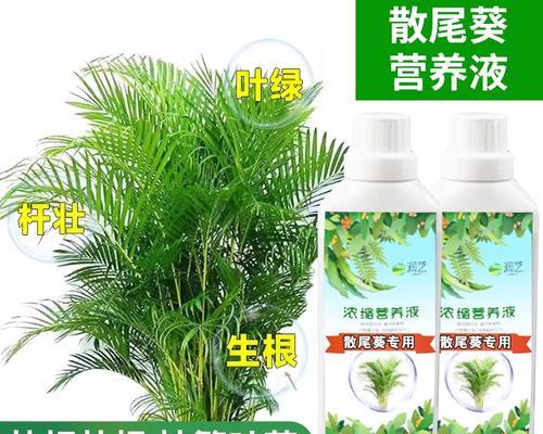 植物施肥推荐使用哪些肥料？