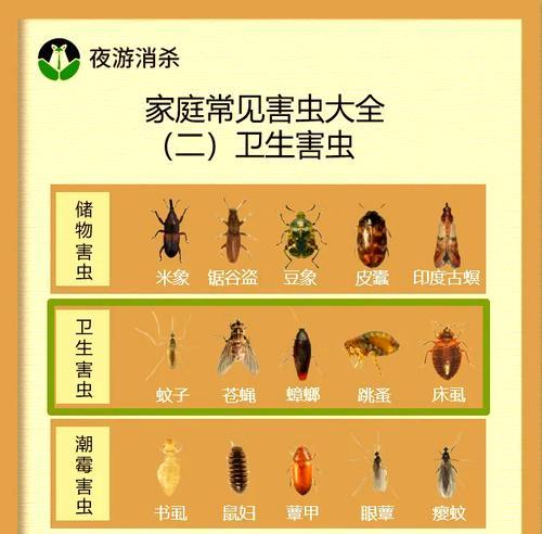 植物害虫有哪些？如何有效防治这些害虫？