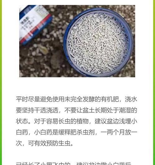 植物害虫有哪些？如何有效防治这些害虫？
