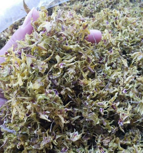 铁皮石斛花朵的正确存放方法是什么？