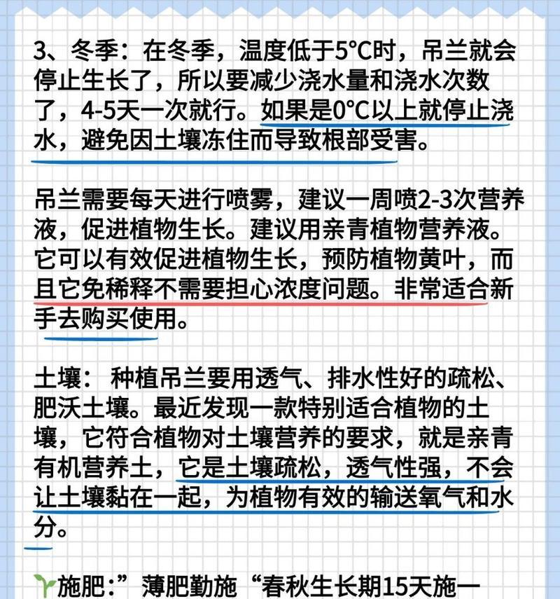 吊兰浇水的正确方法是什么？吊兰浇水需要注意什么？