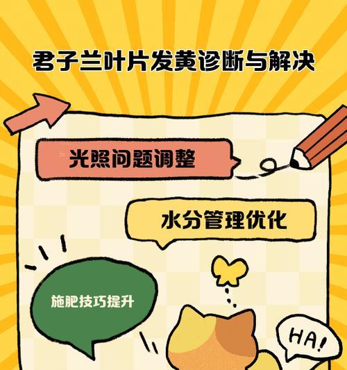 君子兰叶片变黄的可能原因及解决办法是什么？