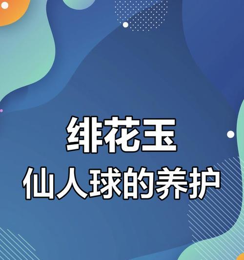 仙人球绯花玉养护要点是什么？如何养出状态？