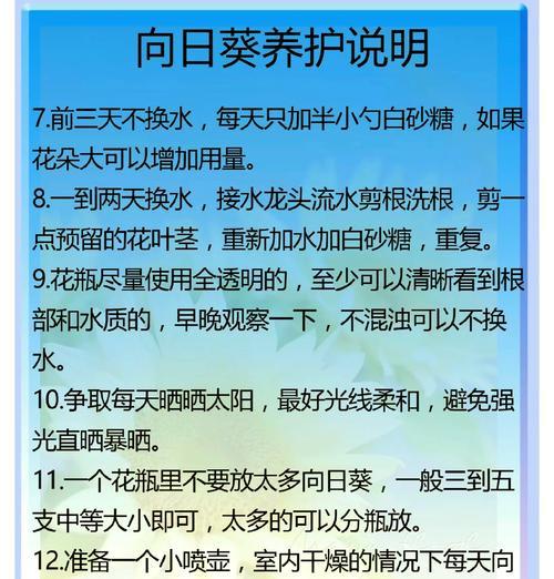 向日葵种植的最佳时间和技巧是什么？
