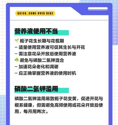 栀子花叶子发黄的原因是什么？如何预防？