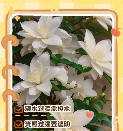 栀子花叶子发黄的原因是什么？如何预防？