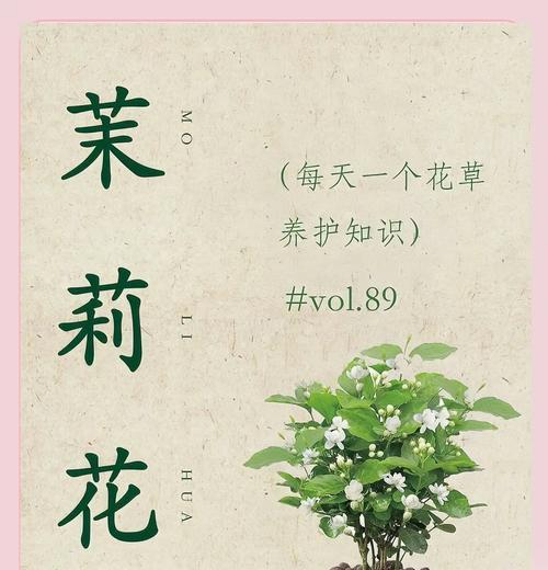 冬季茉莉花的养护要点是什么？