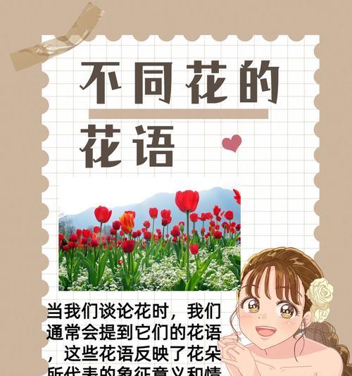 康平寿的养殖技巧有哪些？