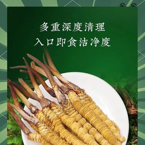 虫草的养殖条件和管理技巧是什么？