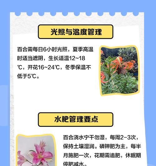 水养百合的方法是什么？需要注意什么？
