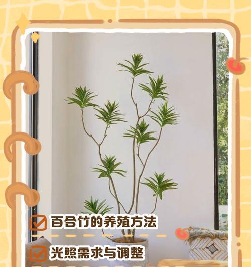 水养百合的方法是什么？需要注意什么？