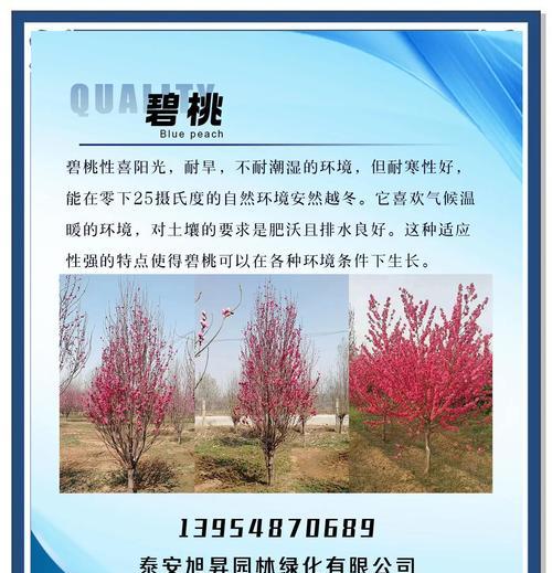 碧桃地品种的种植技巧有哪些？常见问题解答？