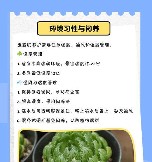 玉露养殖过程中需要注意什么？