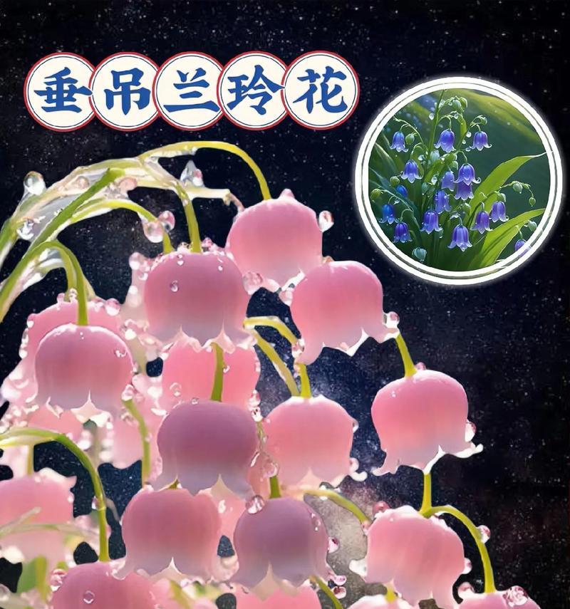 哪些垂吊植物会开花？开花垂吊植物有哪些推荐？