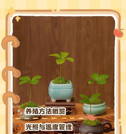 铁树浇水的正确频率是多少？