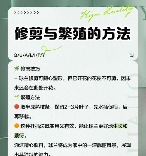 球兰修剪技巧有哪些？