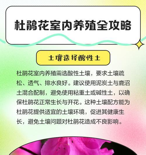 杜鹃花有虫子怎么回事？如何进行有效防治？