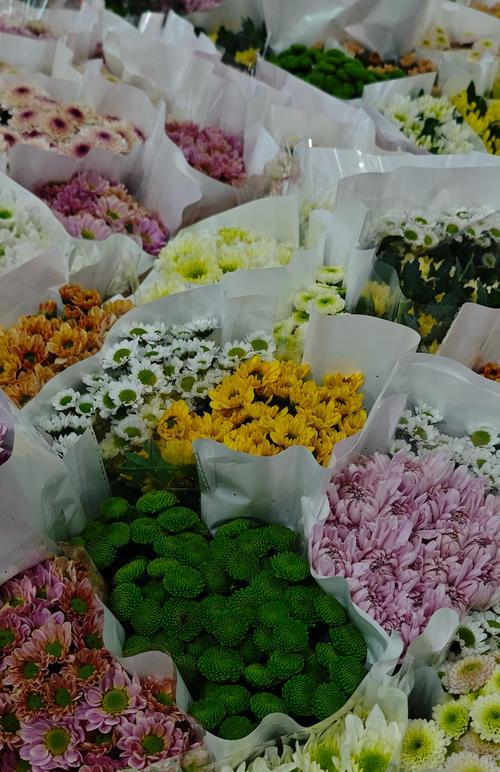 什么是花卉产业？花卉产业的市场现状和前景如何？
