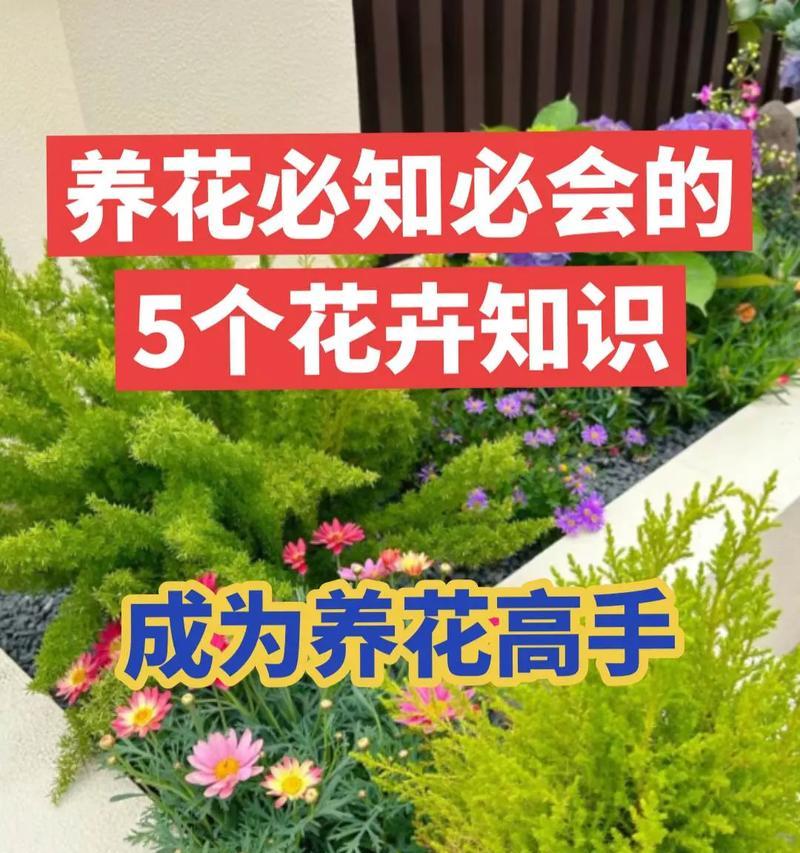 花要怎么养？家庭养花的五个基本技巧是什么？
