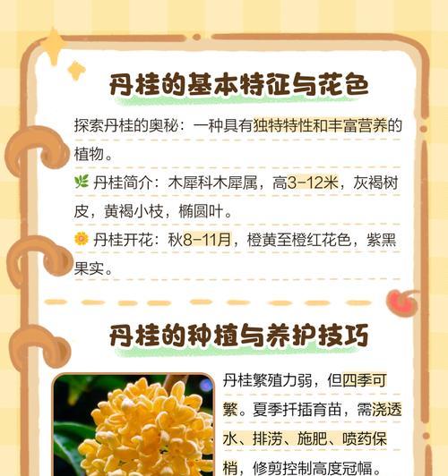 丹桂的养护方法和常见问题是什么？