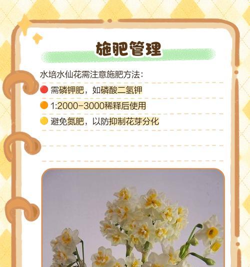 水仙花开花后的处理方法是什么？