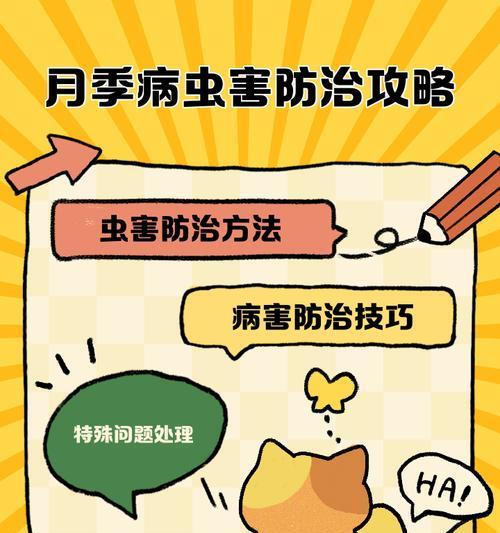 月季哪些病虫害？如何防治？
