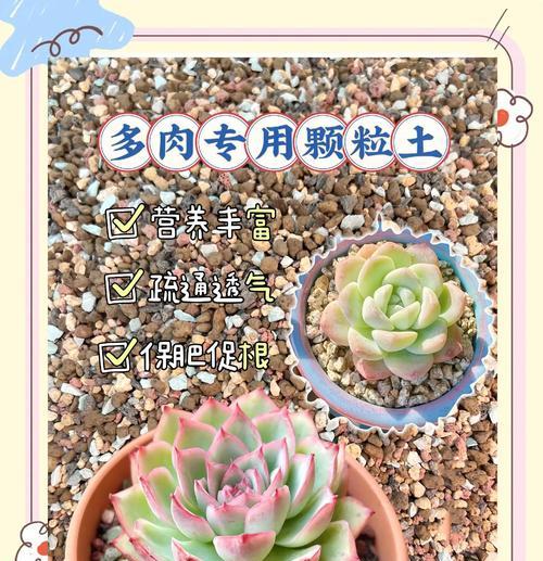 花土的制作方法是什么？如何选择适合的花土？