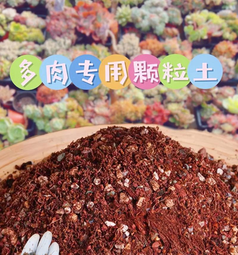 花土的制作方法是什么？如何选择适合的花土？