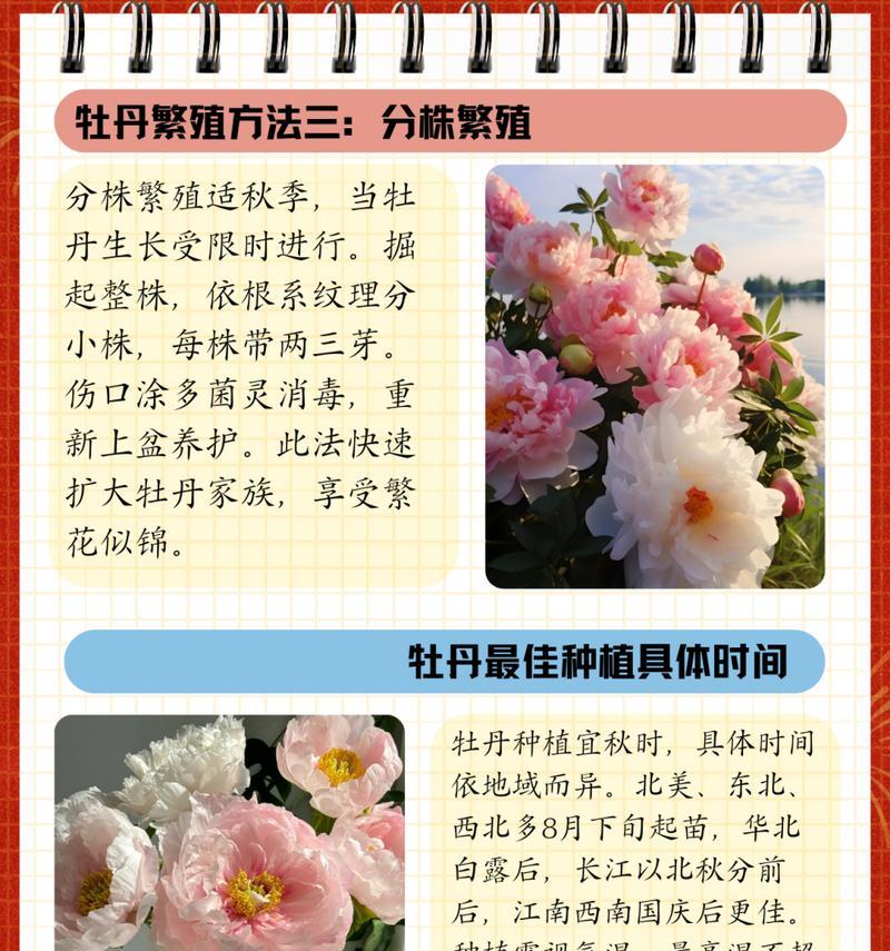 牡丹花修剪的技巧和注意事项有哪些？