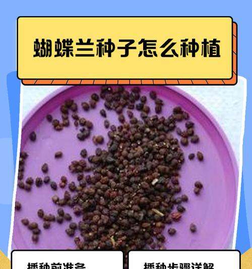 蝴蝶兰栽培用土选择和配置方法？