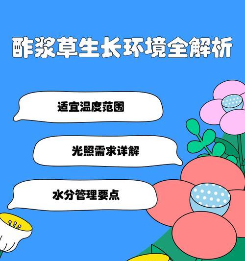 紫浆草繁殖的方法和步骤是什么？