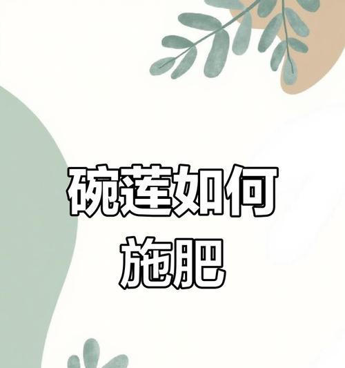 碗莲什么时候施肥？如何正确施肥以促进碗莲生长？