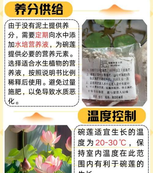 碗莲什么时候施肥？如何正确施肥以促进碗莲生长？